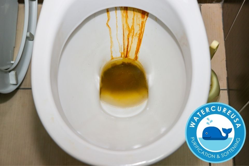 Dirty Toilet from Rust Stains