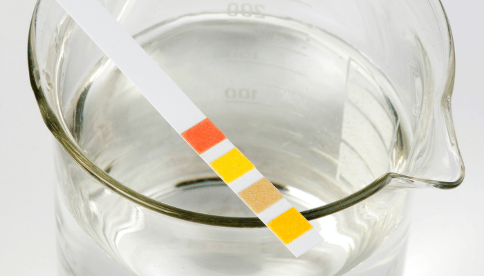 water test strip